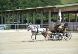 Landemeisterschaft in Piber vom 06.-08. September 2013